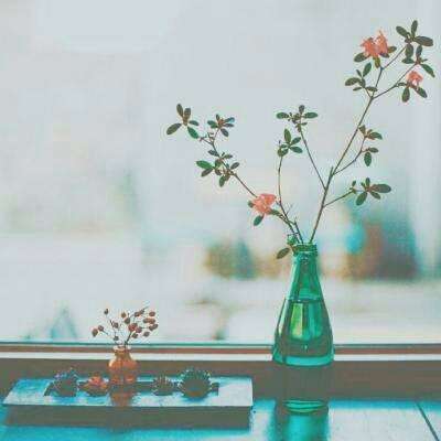 樱花革命手游下载