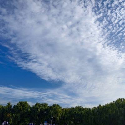 武林群侠传变态版下载